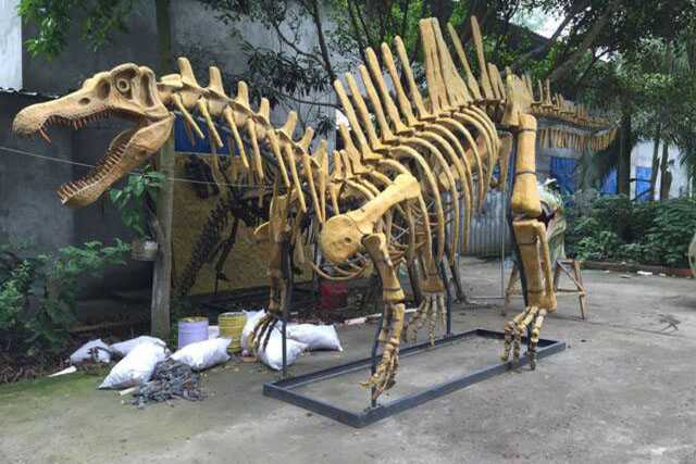 恐龙骨架